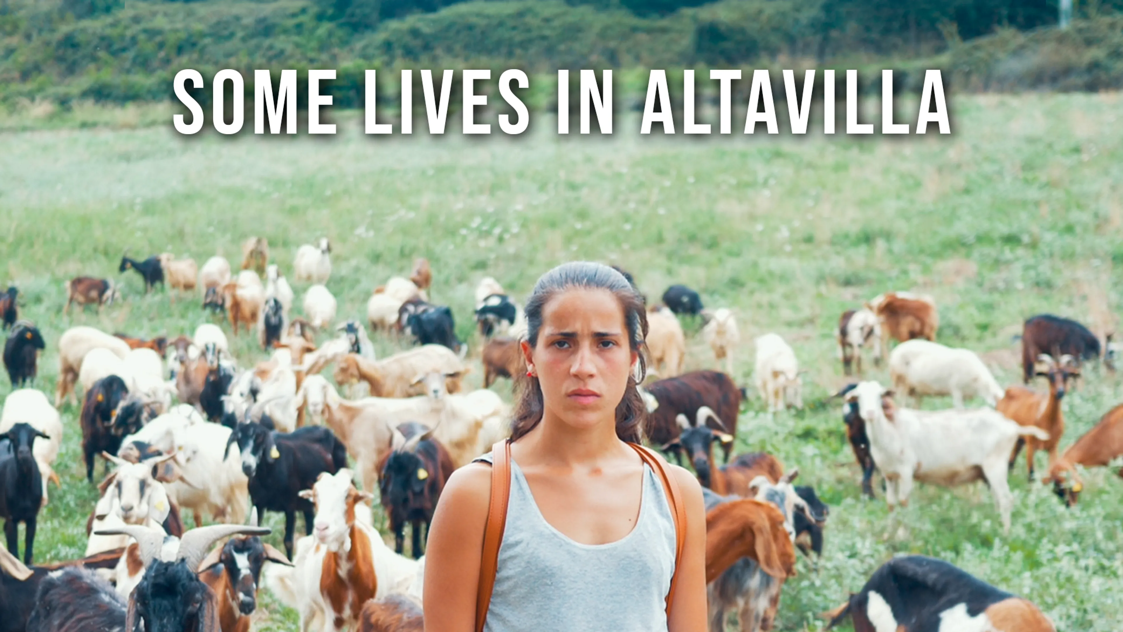 Some Lives in Altavilla poster
